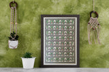 Green Peacock pattern, Godna peacock, Madhubani painting