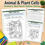 Animal and Plant Cell Coloring Page. Life science digital downloads Worksheet - STEM Science Learning - homeschool - Digital Download