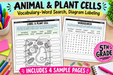 Animal and Plant Cell Coloring Page. Life science digital downloads Worksheet - STEM Science Learning - homeschool - Digital Download