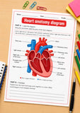 Heart Anatomy Diagram - Science Worksheet STEM Educational Chart Diagram | Heart worksheet for Classroom or Home School digital download