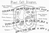 Plant Cell Coloring Page - Hand-Drawn Printable Biology digital downloads Worksheet - STEM Science Learning - homeschool - Digital Download