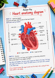 Heart Anatomy Diagram - Science Worksheet STEM Educational Chart Diagram | Heart worksheet for Classroom or Home School digital download